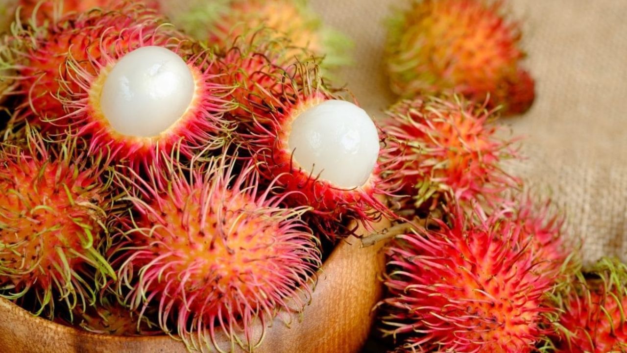 Rambutan Fruit: ఈ పండు తింటే ఎముకలు గట్టిగా అవుతాయి..! ఇంకా ఎన్ని లాభాలో తెలుసా..?