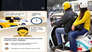 Birds: పక్షులు హైటెన్షన్ వైర్లపై కూర్చున్నా షాక్ కొట్టదా? అసలు రహస్యం ఇదే!