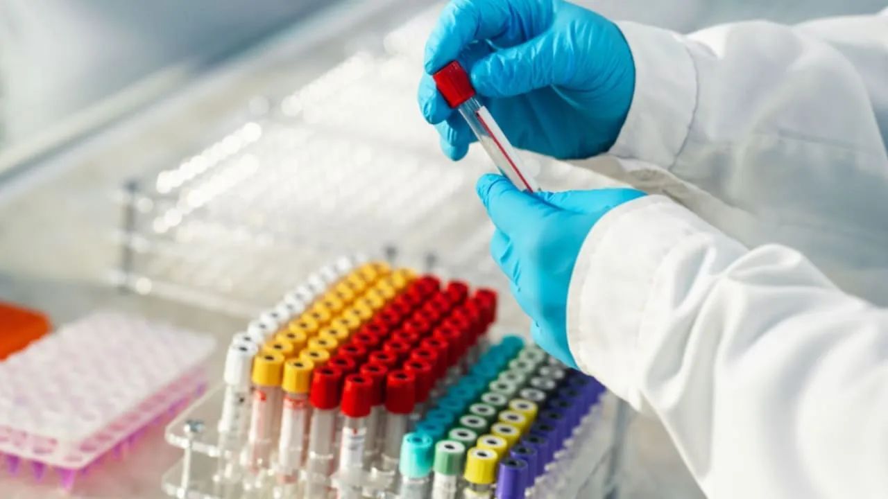 Gwada Negative: ప్రపంచంలోనే అత్యంత అరుదైన బ్లడ్ గ్రూప్..! దీని ప్రత్యేకత ఏంటో తెలుసా..?