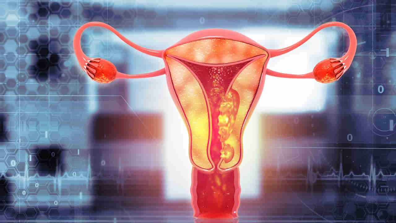 Viral: బాలికకు మూడేళ్ల వయసు నుంచే పీరియడ్స్ - క్యాన్సర్ అనుకుని 14ఏళ్లు చికిత్స - చివరకు