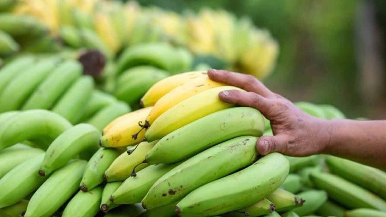 Raw Banana