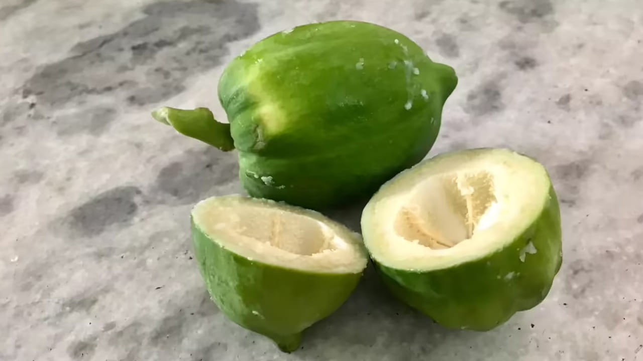 పచ్చి బొప్పాయి తినడం వల్ల పురుషులలో ప్రోస్టేట్, పెద్దప్రేగు క్యాన్సర్ వంటి కొన్ని క్యాన్సర్ల ప్రమాదాన్ని తగ్గించడంలో సహాయపడుతుందని ఆరోగ్య నిపుణులు చెబుతున్నారు.. ఇందులో ఉండే డైటరీ ఫైబర్ పెద్దప్రేగులో ఉండే టాక్సిన్స్‌ను తొలగిస్తుంది. 