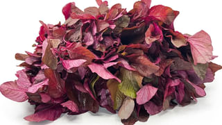 మిస్ క్యారేజ్ తర్వాత జుట్టు ఎక్కువగా రాలుతుందా..? ఇలా ఎందుకు జరుగుతుందో తెలుసా..?