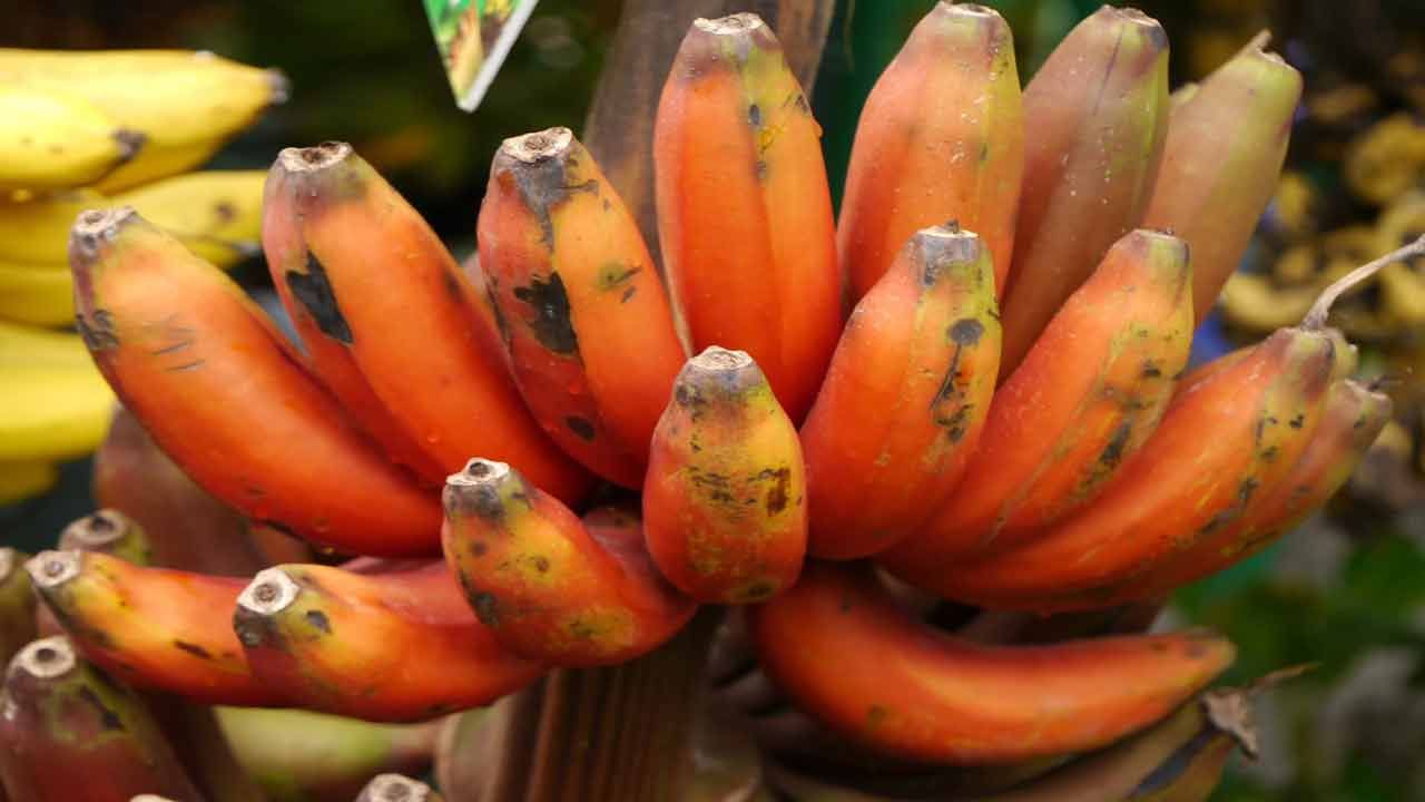 Red Banana