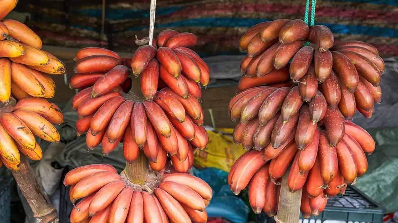 Red Banana