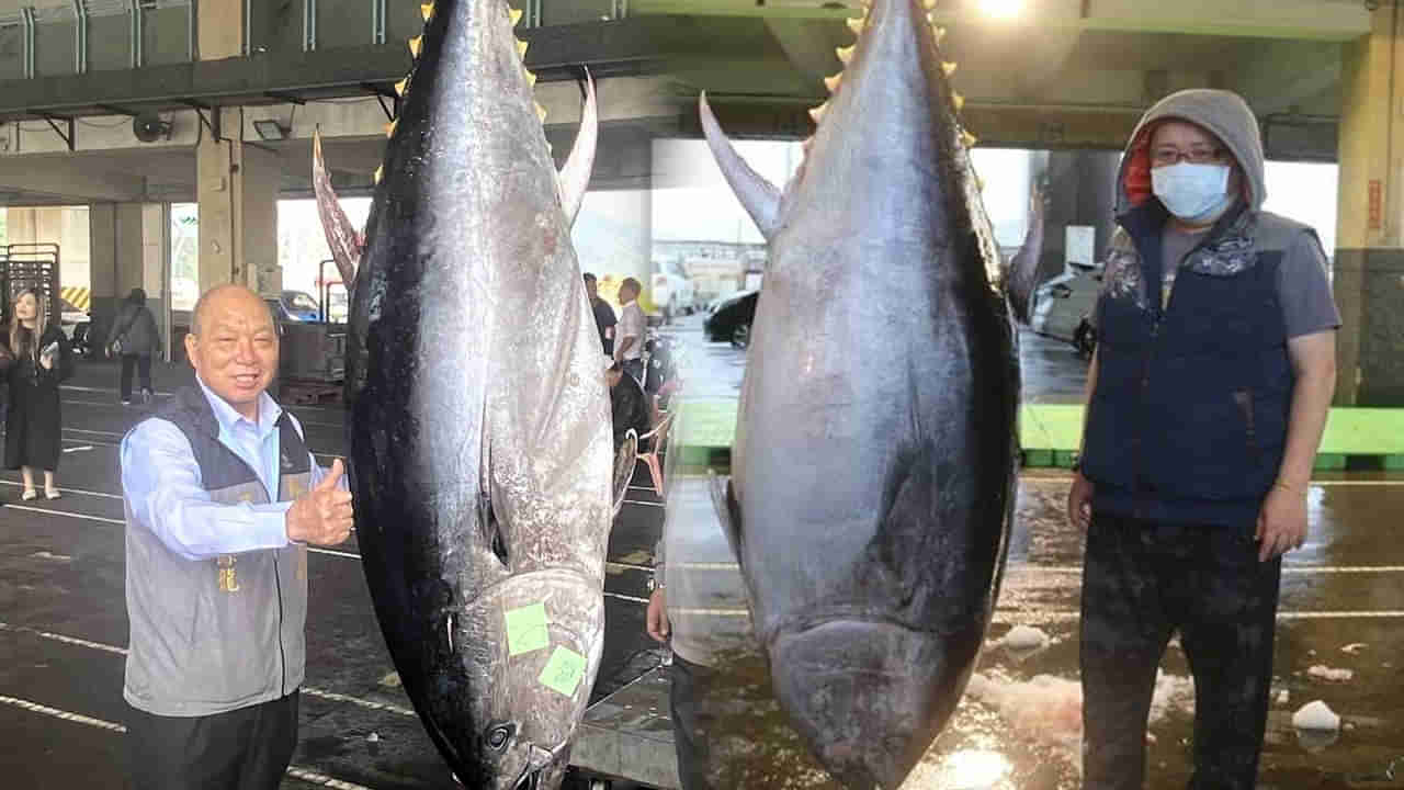 Viral Video: హుషారుగా సముద్రంలో చేపల వేటకు వెళ్లాడు.. వల బరువెక్కడంతో పైకి లాగి చూడగా