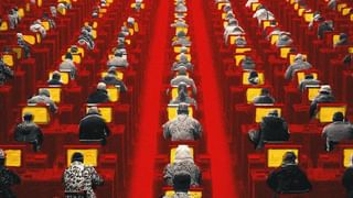 గాడిదల ఉనికికే ప్రమాదం..! గాడిదలతో ఏటా రూ. 58,000 కోట్లు వ్యాపారం చేస్తున్న చైనా!