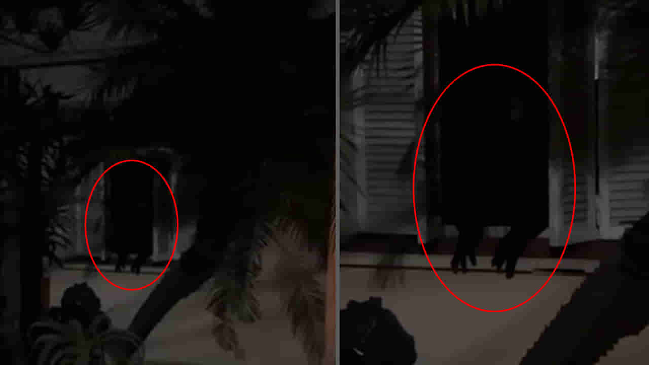 Viral Video: తెల్లవారుజామున కిటికీ వద్ద కనిపించిన నల్లటి ఆకారం.. ఏంటా అని చూడగా.. బాబోయ్
