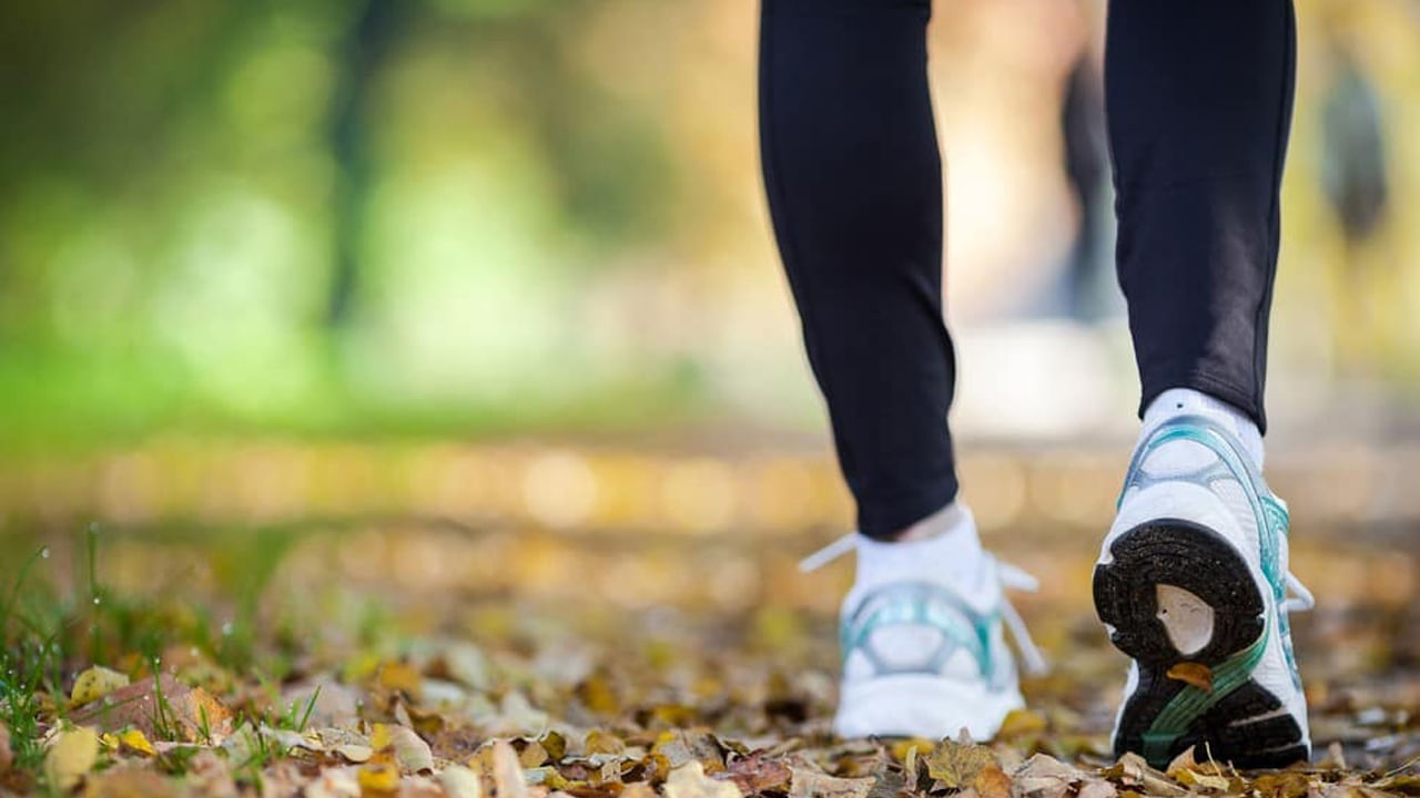 వెనక్కి నడవడం వల్ల మెదడు పనితీరు కూడా మెరుగుపడుతుంది. ఫోకస్‌ ఇంప్రూవ్‌ అవుతుంది. మెదడు షార్ప్‌గా మారుతుంది. కండరాలు దృఢంగా, ఆరోగ్యంగా ఉండడానికి రివర్స్‌ వాకింగ్‌ హెల్ప్ చేస్తుంది. వెనక్కి నడవడం వల్ల ఏకాగ్రత పెరుగుతుంది. క్రమం తప్పకుండా వెనుకకు నడవడం సాధన చేస్తే మీలో స్థిరత్వం, సమతుల్యత పెరుగుతాయి.