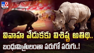 అమ్మో.. చేప కొరికితే ఇంత డేంజరా? ఏకంగా చెయ్యే తీసేశారు