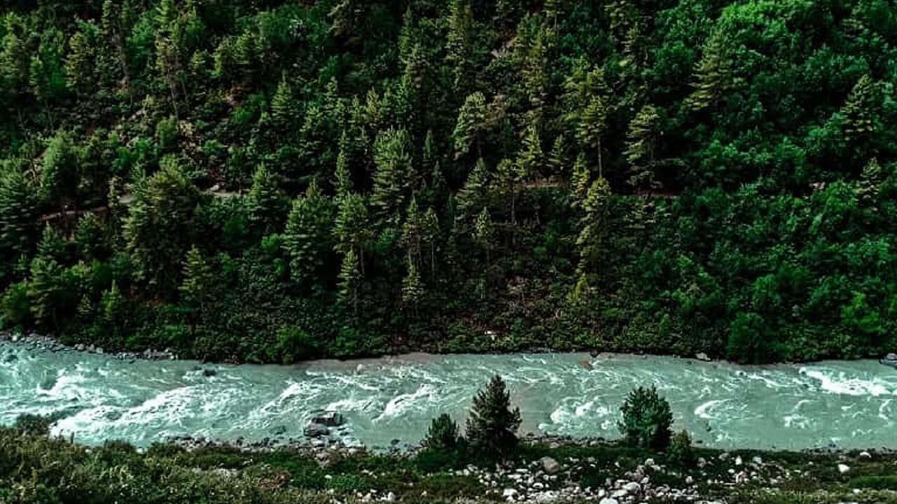 ప్రపంచంలోనే అతి పొడవైన నదుల్లో మూడో స్థానంలో ఉండే నది యాంగ్జీ నది. ఇది ఆసియాలోనే చాలా పొడవైన నది. ఇది చైనాలో మాత్రమే ప్రవహిస్తుంది. ఇది ప్రపంచంలోనే అతిపెద్ద ఆనకట్ట అయిన త్రీ గోర్జెస్ ఆనకట్టకు నిలయంగా ఉంది. అందమైన నదుల్లో ఇది కూడా ఒకటి.