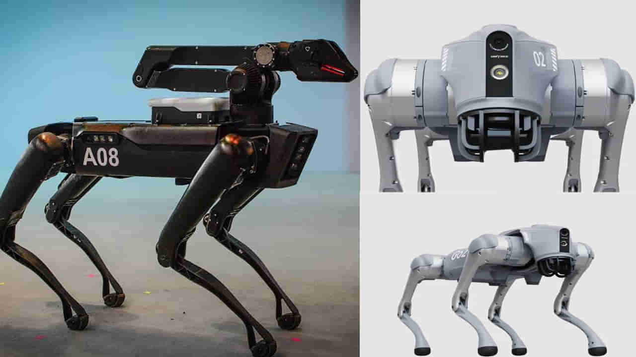 Tecno Dynamic-1 Robot Dog: కొత్తగా మార్కెట్ లోకి రోబో డాగ్స్.. విపరీతంగా కొంటున్న జనం!