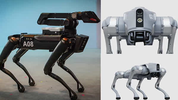 Tecno Dynamic-1 Robot Dog: కొత్తగా మార్కెట్ లోకి రోబో డాగ్స్.. విపరీతంగా కొంటున్న జనం!