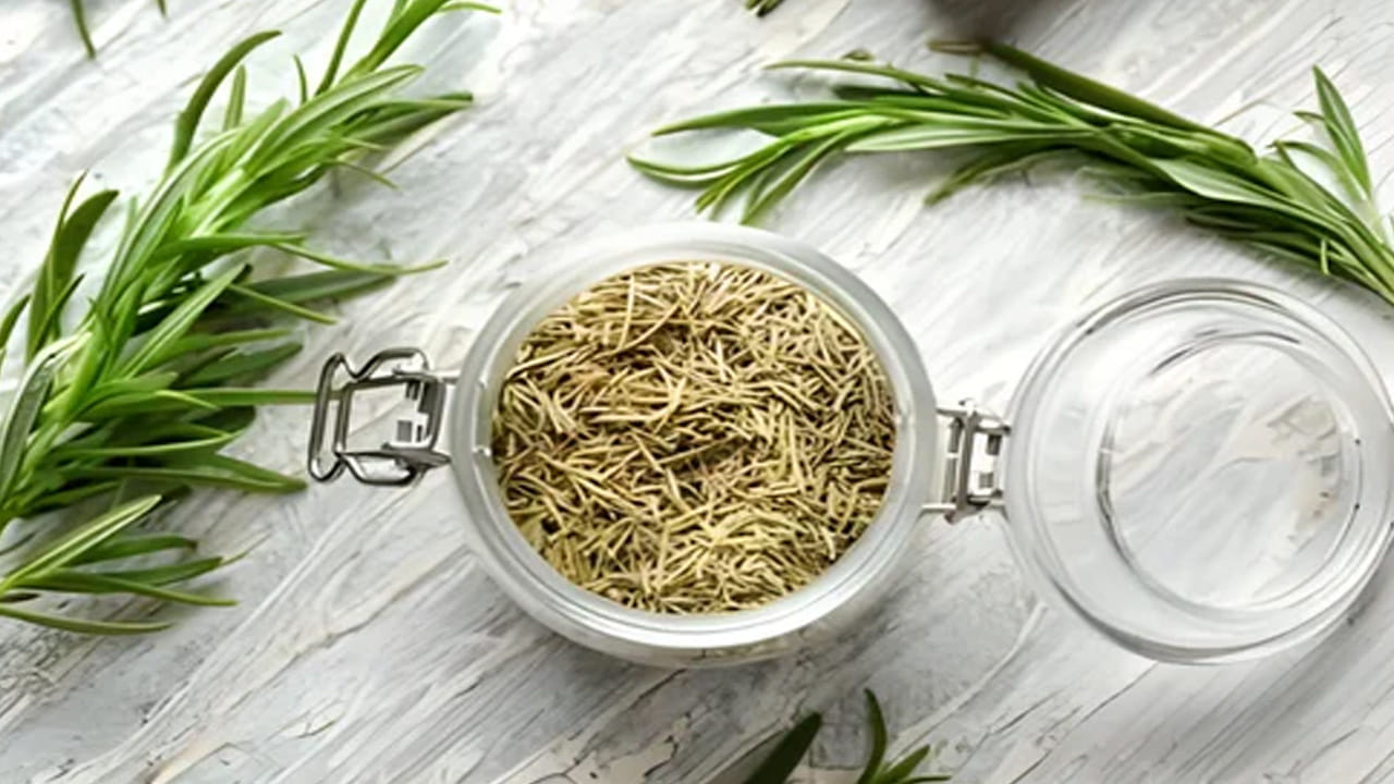 ఇది మీ ముఖంపై ఉన్న రంధ్రాలను తగ్గిస్తుంది. ఇది మీ చర్మాన్ని పరిపూర్ణంగా ఉంచుతుంది. రోజ్మేరీ నూనెలో కళ్ళ కింద వాపు, నల్లటి వలయాలను తగ్గించే లక్షణాలు ఉన్నాయి. మీ చర్మాన్ని మృదువుగా చేస్తాయి. ఇందులో ఉండే యాంటీ ఇన్ఫ్లమేటరీ లక్షణాలు చర్మంలో ఎరుపును తగ్గించి చర్మాన్ని రక్షిస్తాయి.