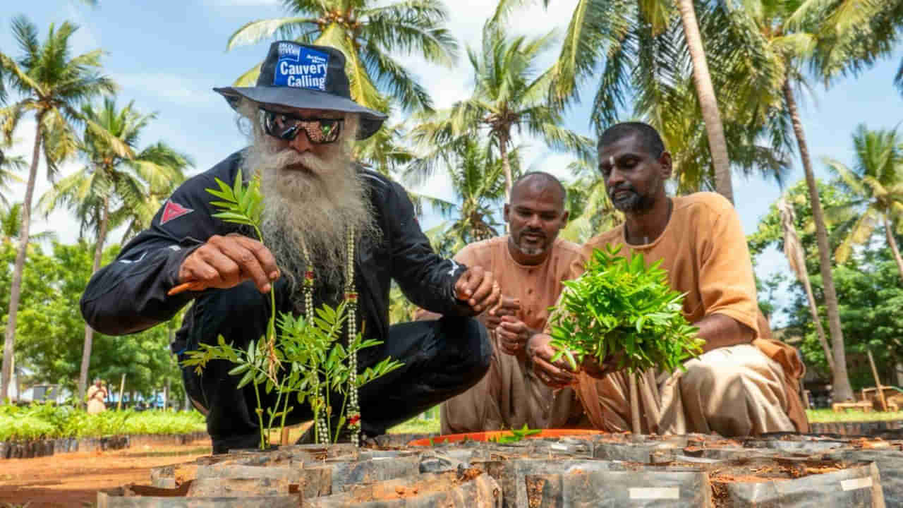 Cauvery Calling: సద్గురు కావేరి కాలింగ్‌ ఉద్యమం నయా రికార్డు.. రెండేళ్లలో 12.2 కోట్లకు చేరిన మొక్కల పెంపకం!