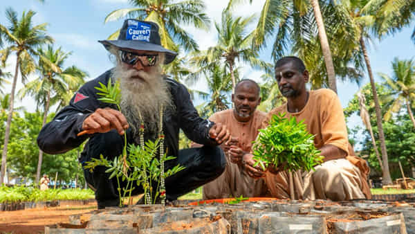 Cauvery Calling: సద్గురు కావేరి కాలింగ్ ఉద్యమం నయా రికార్డు.. రెండేళ్లలో 12.2 కోట్లకు చేరిన మొక్కల పెంపకం!