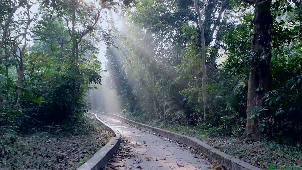 సచ్చారి అడవి - త్రిపుర సరిహద్దు, మేఘాలయ: జీవవైవిధ్యంతో సమృద్ధిగా ఉన్న ఈ మేఘాలయ సరిహద్దు అడవిలో ఒక చీకటి కోణం దాగి ఉంది. గిరిజన ఆత్మలు, సందర్శకులను అనుసరిస్తున్న నీడల వ్యక్తుల గుసగుసల కథల కారణంగా స్థానికులు రాత్రిపూట కొన్ని ప్రాంతాలకు దూరంగా ఉంటారు.