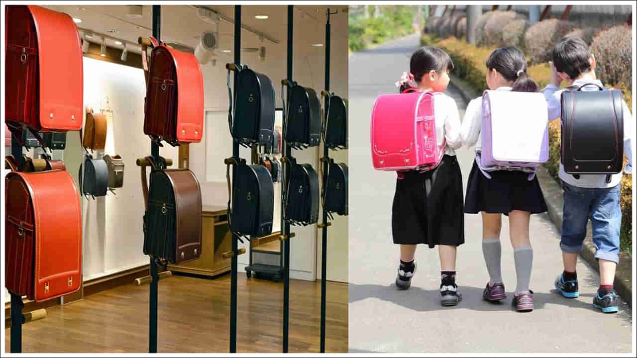 School Bags: జపాన్లో స్కూల్ బ్యాగుల ధరలు భారీగా ఎందుకు ఉంటాయి? ఒక్కో బ్యాగు ధర రూ.18 వేల నుంచి రూ.60 వేలు