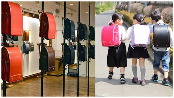 School Bags: జపాన్లో స్కూల్ బ్యాగుల ధరలు భారీగా ఎందుకు ఉంటాయి? ఒక్కో బ్యాగు ధర రూ.18 వేల నుంచి రూ.60 వేలు