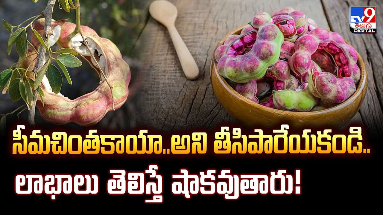 సీమచింతకాయా..అని తీసిపారేయకండి..లాభాలు తెలిస్తే షాకవుతారు