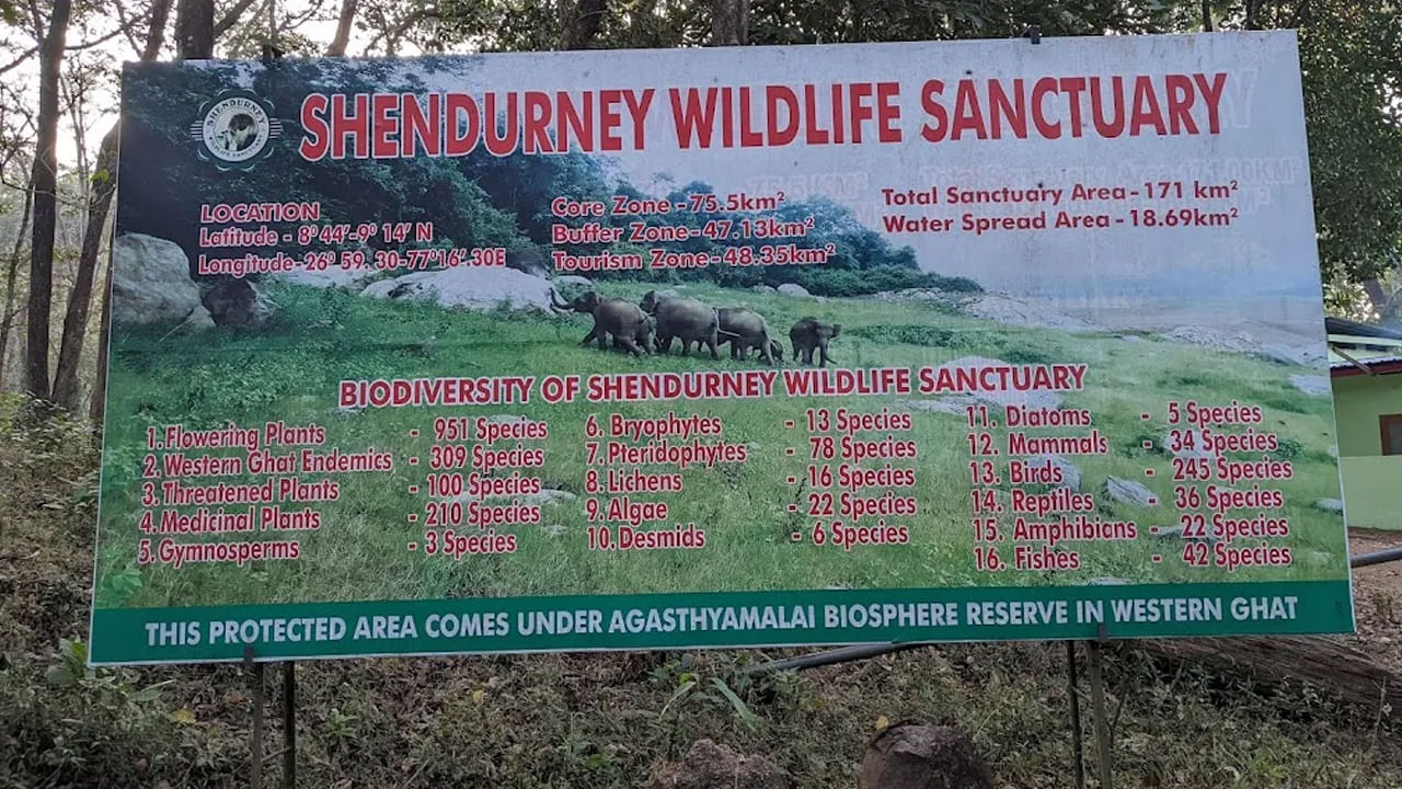 షెండుర్నీ వన్యప్రాణుల అభయారణ్యం తిరువనంతపురంకి దాదాపు 65 కిలోమీటర్ల దూరంలో ఉన్న అటవీ శ్రేణిని కలిగి ఉంది. ఇందులో 172 చదరపు కిలోమీటర్లకు పైగా భూభాగం ఉంది. ఇది ఉష్ణమండల అడవులు నదీ పరిసరాలతో ఉంటుంది. పులులు, ఏనుగులు వంటి వన్యప్రాణుల జాతులు, అంతరించిపోతున్న ప్రైమేట్ జాతులైన సింహం తోక మకాక్‌లతో పాటు షెండుర్నీ నది జోన్ అని పిలువబడే అభయారణ్యంలో నివసిస్తాయి. ఈ అభయారణ్యం వెదురు రాఫ్టింగ్‌ను ఒక సాహసోపేత కార్యకలాపంగా నిలిచింది. 