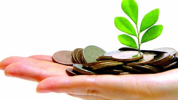 Interest Rates: చిన్న పొదుపు పథకాల ఖాతాదారులకు ఆర్బీఐ షాక్.. భారీగా వడ్డీ రేట్ల తగ్గింపు