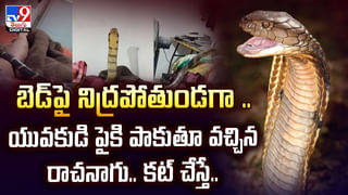 ఈ పండుతో ఇన్ని లాభాలా? తెలిస్తే అస్సలు వదలరు!