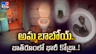 లక్ అంటే ఆ జాలరిదే.. ఒక్క దెబ్బకు లక్షాధికారిని చేసిందిగా