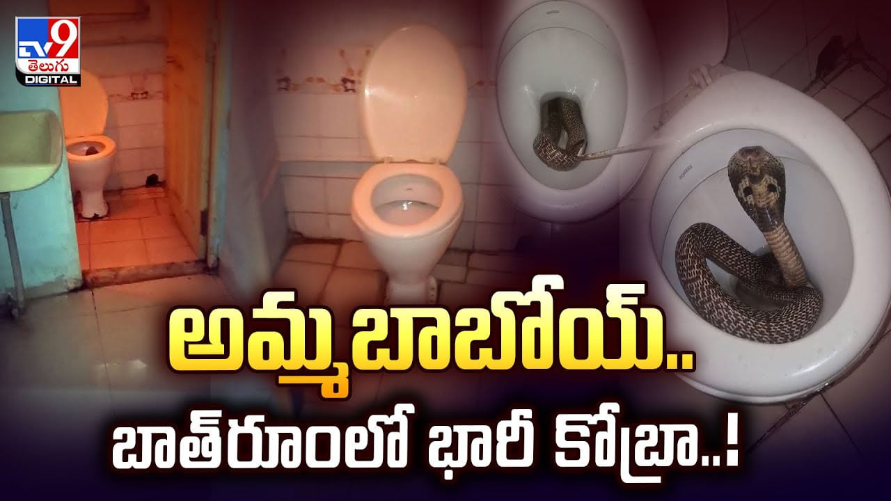 అమ్మబాబోయ్.. బాత్‌రూంలో భారీ కోబ్రా