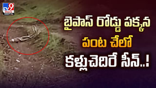 అదృష్టం అంటే ఇతనిదే.. బురదలో దొరికిన మట్టికుండలో