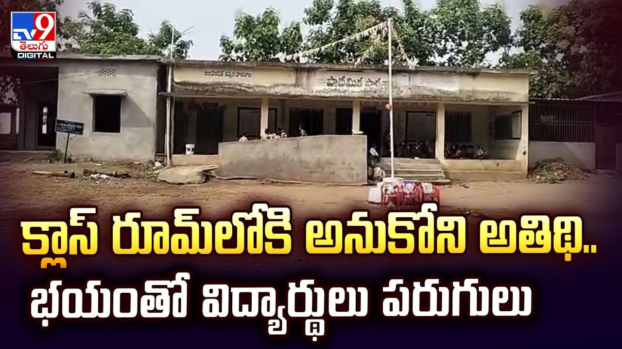 క్లాస్‌ రూమ్‌లో శ్రద్ధగా చదువుకుంటున్న విద్యార్థులు.. ఉన్నట్టుండి హాజరైన అనుకోని అతిధి.. కట్ చేస్తే