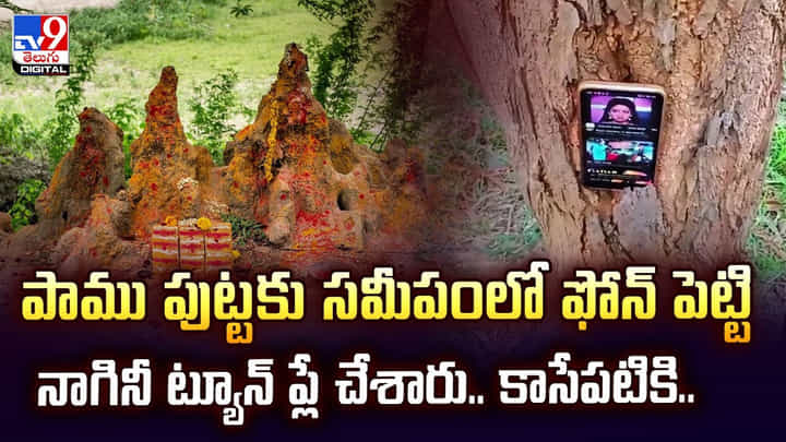 పాము పుట్టకు సమీపంలో ఫోన్ పెట్టి నాగినీ ట్యూన్ ప్లే చేశారు.. కాసేపటికి పాము పుట్టకు సమీపంలో ఫోన్ పెట్టి నాగినీ ట్యూన్ ప్లే చేశారు.. కాసేపటికి