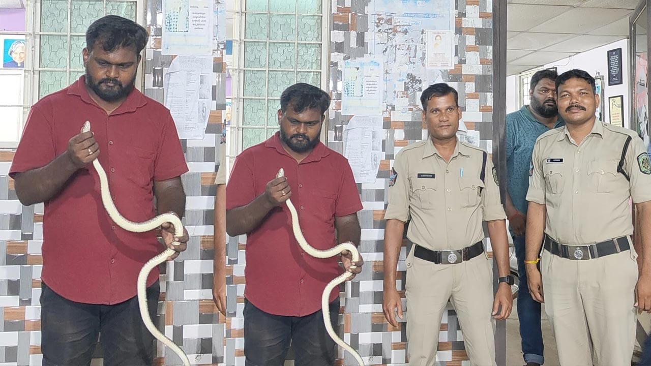 Snake At Police Station