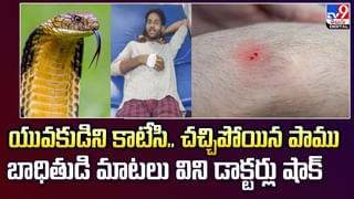 కొలనులో కొండచిలువ.. అది కక్కింది చూసి జనం షాక్‌