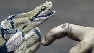 Turmeric Water Benefits: రోజూ ఉదయం ఈ నీళ్లు తాగితే ఎన్ని ఆరోగ్య ప్రయోజనాలో తెలుసా..?