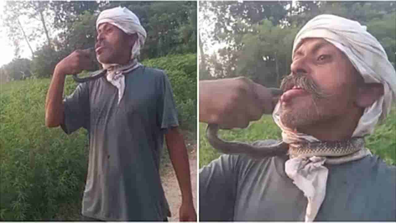 Watch Video: నకరాలు చేస్తూ నాగుపామును ముద్దు పెట్టుకున్నాడు.. అది నాలుకపై కాటేసింది.. చివరకు..!