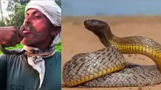 Watch: కంటైనర్ లారీ బోల్తా.. నడిరోడ్డుపై నడుచుకుంటూ వెళ్తున్న తల్లి, కూతురు మృతి