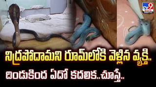 మృత్యుంజయులు.. వంతెనపైనుంచి 50 అడుగుల లోతులో పడిన కారు