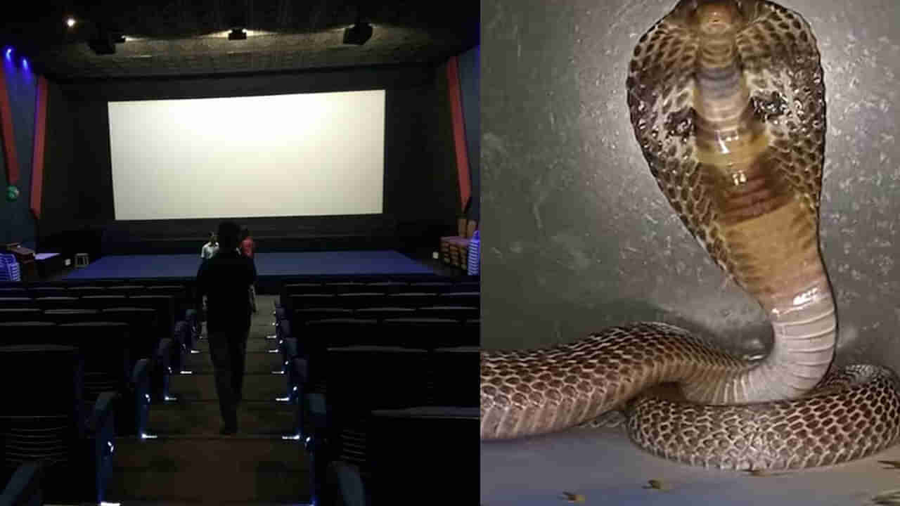 Hyderabad: వామ్మో.. హైదరాబాద్ సినిమా థియేటర్‌లో పాముల కలకలం.. బుసలు కొడుతూ సిబ్బందిపైకి.. వీడియో వైరల్‌