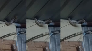 అమరావతిలో క్వాంటం వ్యాలీ టెక్ పార్క్.. మూడు సంస్థలతో చంద్రబాబు సర్కార్ ఒప్పందం..