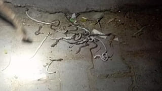 బిగ్‌ అలెర్ట్‌.. రూ.2 వేల నోట్లపై RBI కీలక ప్రకటన!