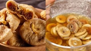 కిడ్నీల ఆరోగ్యం కోసం 8 అద్భుతమైన ఆహారాలు.. మీ డైట్‌ లో ఉండాల్సిందే..!