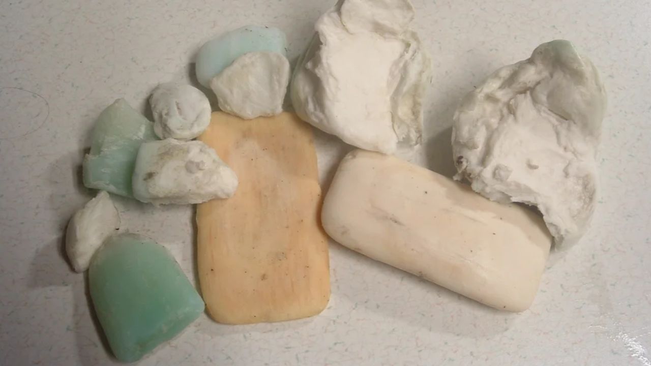 DIY Soap Freshener: ఇంట్లో మిగిలిన సబ్బు ముక్కలను పారేయకండి..! మరి ఏం చేయాలని ఆలోచిస్తున్నారా..?