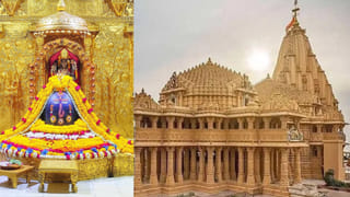 Curry Leaf Plant: వేప చెట్టే కాదు.. కరివేపాకు మొక్క పెంచేవారికి కూడా ఈ దోషాలుండవు.. వాస్తు శాస్త్రం చెప్తున్న సీక్రెట్స్