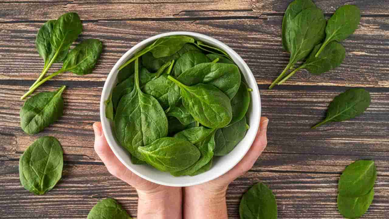 Spinach Benefits: ప్రతి రోజూ పాలకూర తింటున్నారా? అయితే, ఈ విషయాలు తప్పక తెలుసుకోండి..