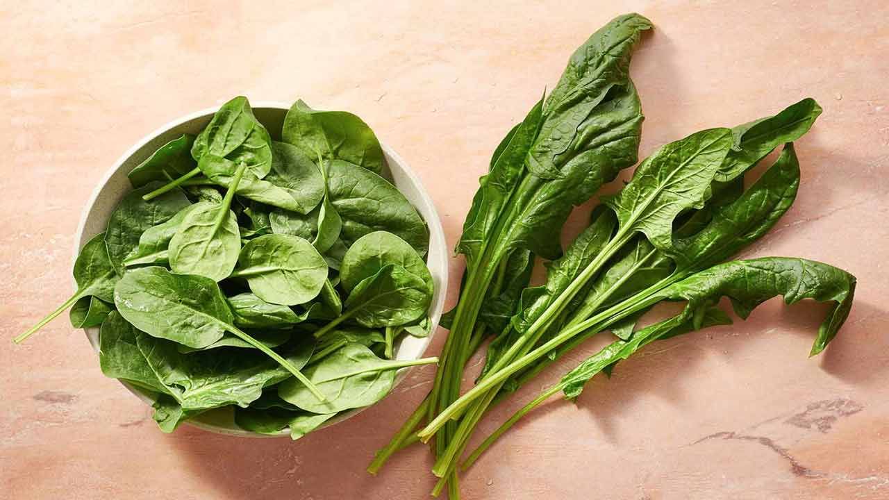 మూత్రపిండాల్లో రాళ్ల సమస్యతో ఇబ్బంది పడుతున్నవారు పాలకూరకు దూరంగా ఉండాలి. అలాగే, ఫుడ్ అలర్జీలు, జీర్ణవ్యవస్థకు సంబంధించిన సమస్యలు ఉన్నవారు కూడా పాలకూరను తినకూడదని నిపుణులు చెబుతున్నారు. అలాగే, యూరిక్ యాసిడ్ సమస్య ఉన్నవారు కూడా పాలకూర తినకూడదని అంటున్నారు. 