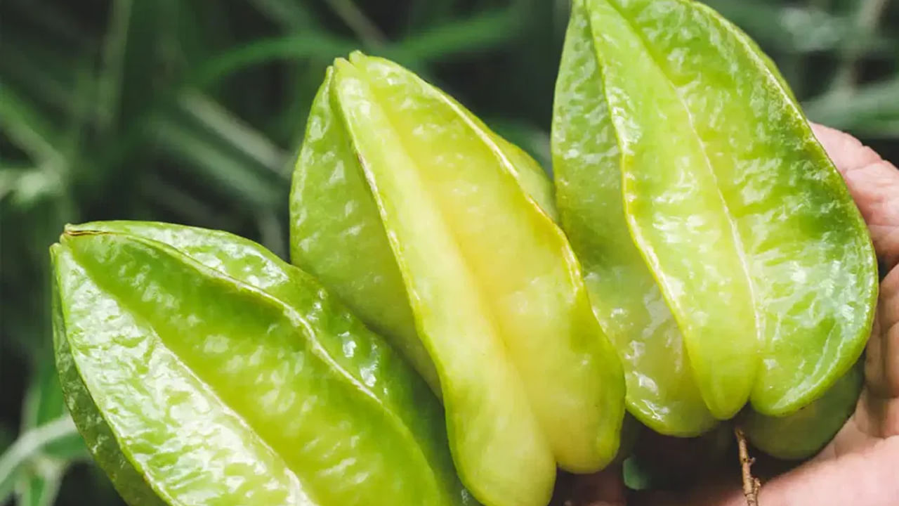 స్టార్ ఫ్రూట్‌లో విటమిన్ సితో పాటు, యాంటీఆక్సిడెంట్ కంటెంట్ పుష్కలంగా ఉంటుంది. ఈ కాంబినేషన్ రోగనిరోధక శక్తిని రెట్టింపు చేస్తుంది. ఈ పండులో మెగ్నీషియం, ఐరన్, జింక్, మాంగనీస్, పొటాషియం, ఫాస్పరస్ పుష్కలంగా ఉంటాయి. ఇవి ఆనారోగ్యాలు రాకుండా రక్షిస్తాయి.