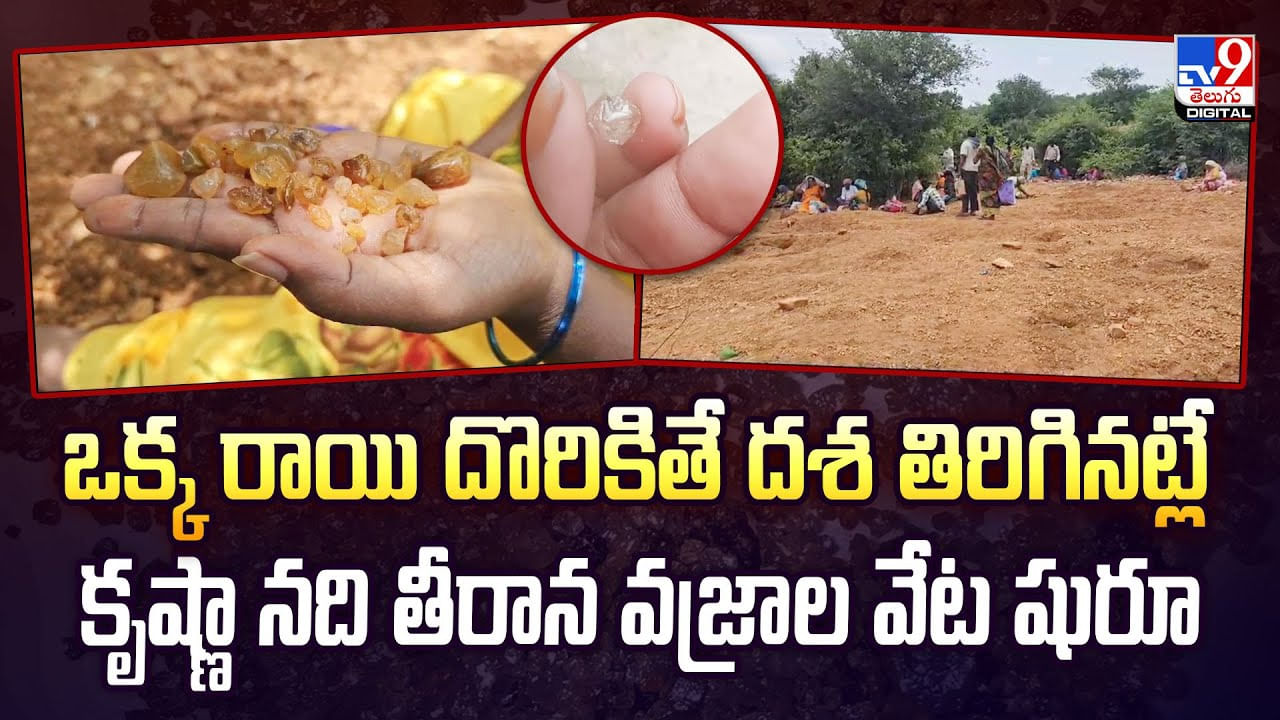 ఒక్క రాయి దొరికితే దశ తిరిగినట్లే కృష్ణా నది తీరాన వజ్రాల వేట షురూ