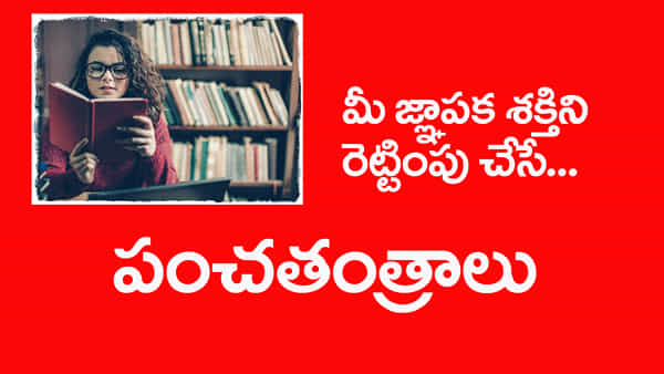 Memory Skills: మీ జ్ఞాపకశక్తిని అమాంతం పెంచేసే పవర్ఫుల్ పంచతంత్రాలు.. ఇలా చదివారంటే ఫస్ట్ ర్యాంక్ పక్కా!