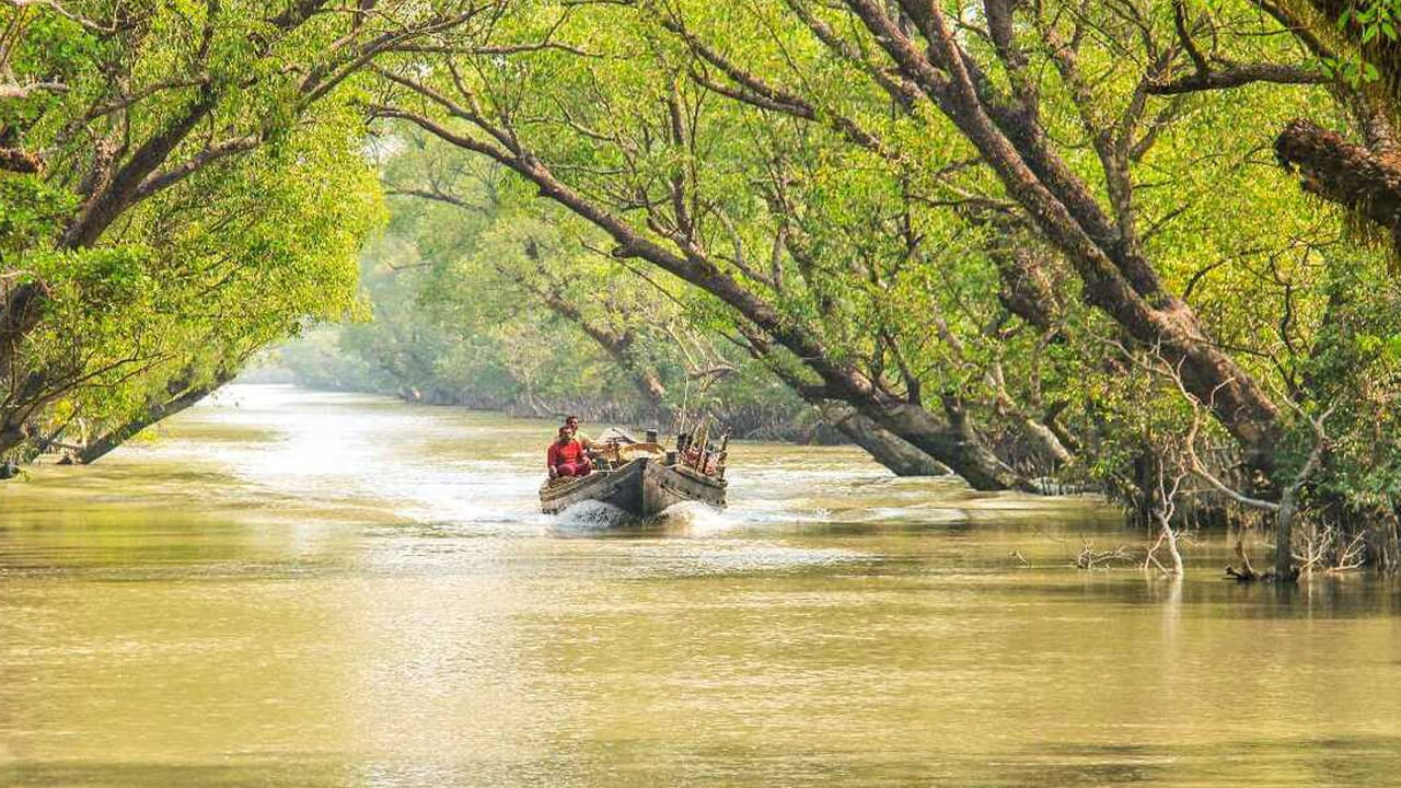పర్యావరణ పర్యటనలు, స్థానిక అనుభవాలు: మీ ప్రయాణాన్ని విలువైనదిగా చేసుకోవడానికి, పర్యావరణ పర్యటనలు లేదా సంరక్షణ లక్ష్యంగా ఉన్న సాంస్కృతిక అనుభవాల గురించి ఆలోచించండి. మీరు కోల్‌కతా నుంచి కొన్ని గంటల దూరంలో ఉన్న సుందర్‌బన్స్‌ను సందర్శించవచ్చు. ఇది ప్రపంచంలోనే అతిపెద్ద మడ అడవులు, యునెస్కో ప్రపంచ వారసత్వ ప్రదేశం. ఈ పర్యటనలు ఎక్కువగా ఈ ప్రాంతం ప్రత్యేకమైన జీవవైవిధ్యం, సంరక్షణ గురించి అవగాహన కల్పించడంపై కేంద్రీకృతమై ఉన్నాయి. దుర్గా పూజ వంటి సాంస్కృతిక కార్యక్రమాలను కూడా మీరు జరుపుకోవచ్చు,